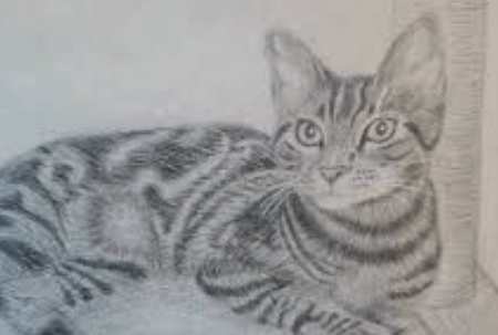 Drawing:Djnm7bfefze= Cat