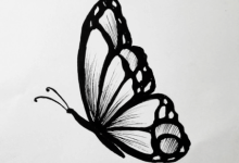 Drawing:Q5pbirjjkfa= Butterfly