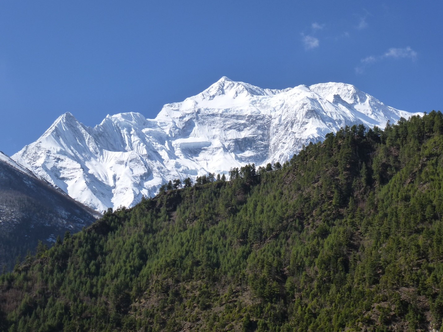 Trekking Essentials: Packing List and Gear Guide for Annapurna Region Treks