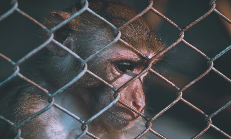 telecom ethics and security