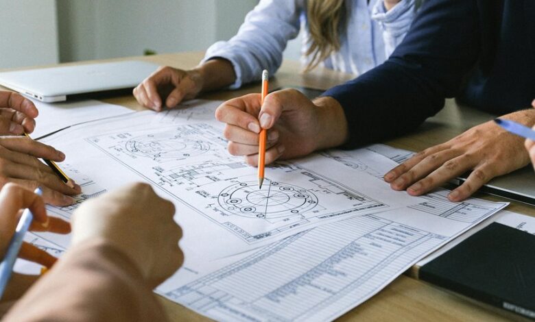 critical development review report