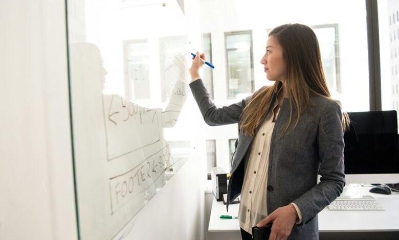 project development highlights summary