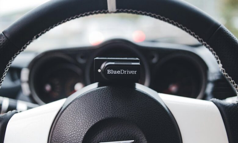 creative drive across emerging fields