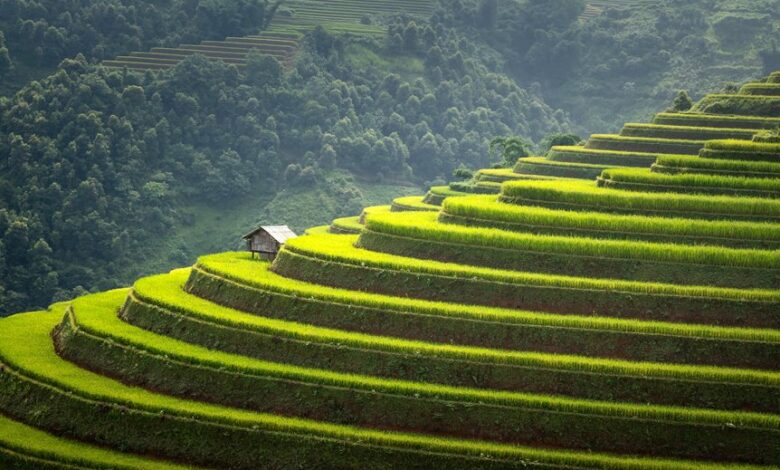 empowered steps start ventures