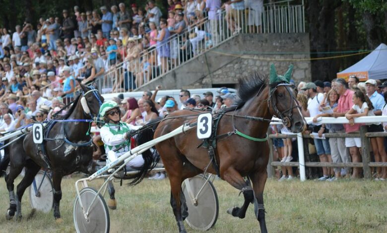 strategic drive for competitive outcomes