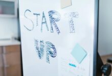 trailblazing drive 83 020 519 51 across ventures