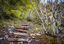 trailblazing steps across projects