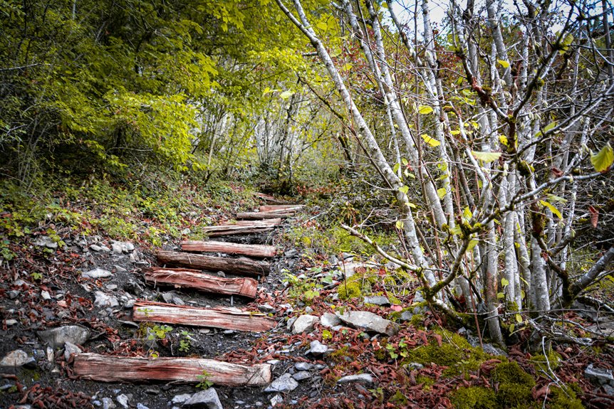 trailblazing steps across projects