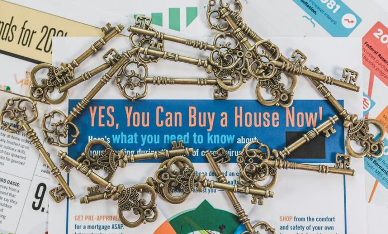 vision catalyst start across market opportunities