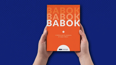 The BABOK Guide Knowledge Areas: Deep-diving into the International Institute of Business Analysis Standards for Professional Practice