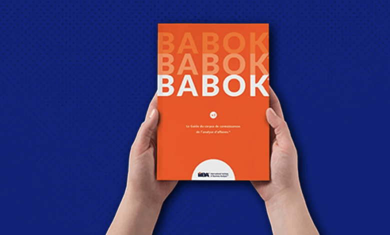 The BABOK Guide Knowledge Areas: Deep-diving into the International Institute of Business Analysis Standards for Professional Practice