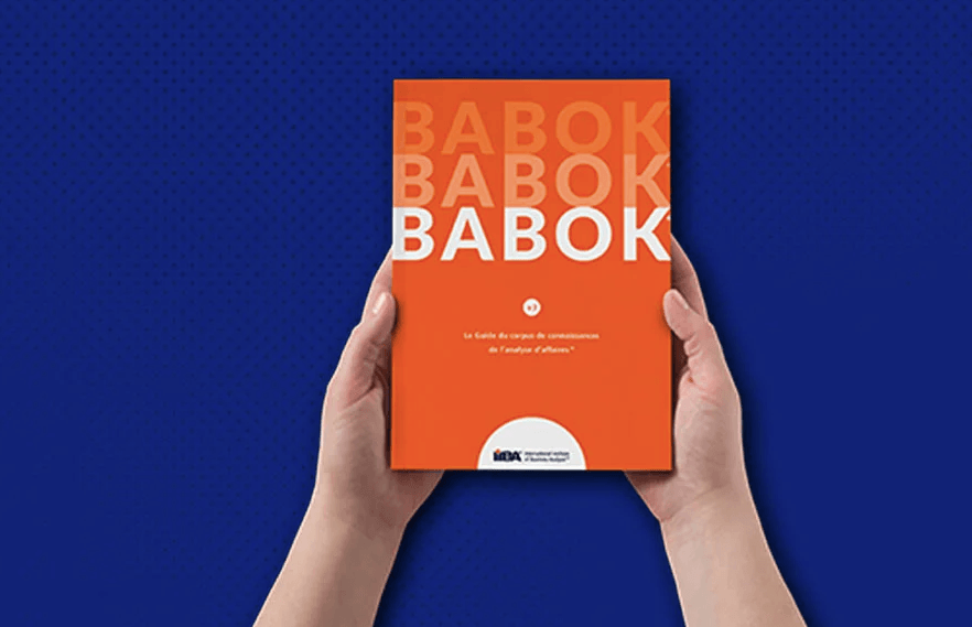 The BABOK Guide Knowledge Areas: Deep-diving into the International Institute of Business Analysis Standards for Professional Practice