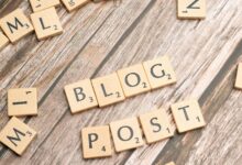 blog discovery portal reveals articles