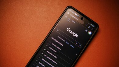 caller safety discovery portal spam phone lookup