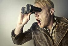 random keyword curiosity hub exploration