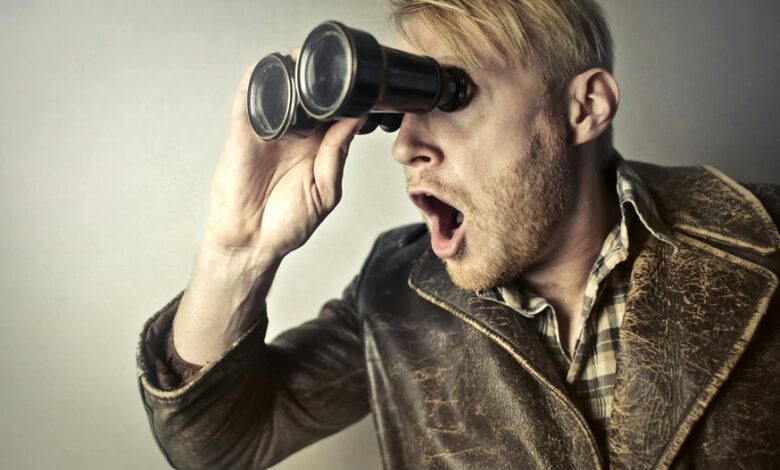 random keyword curiosity hub exploration