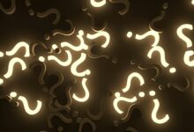 random keyword research portal