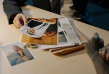 spam phone number research guide details suggests scam detection