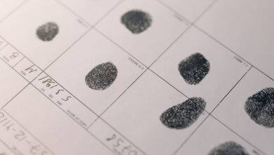 access public registry numbers