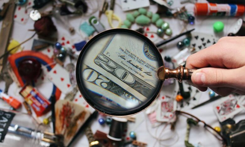registry lookup findings summary for ids